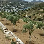Great House In A Beautiful Olive Grove Kini