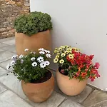 Βίλα Great House In A Beautiful Olive Grove Κίνι